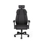 ENDORFY Mobiliario Gaming EY8A005