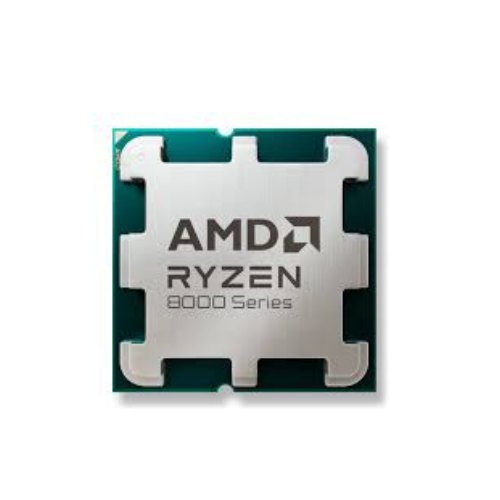 AMD Procesadores 100-000001591