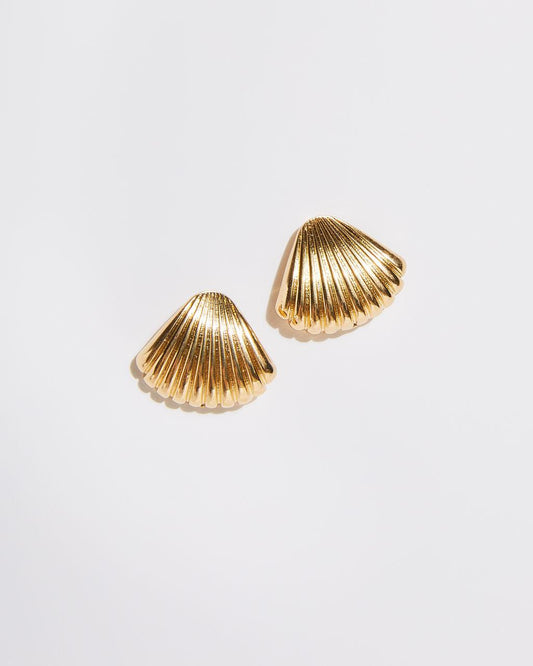 Pendientes Shell Me About It